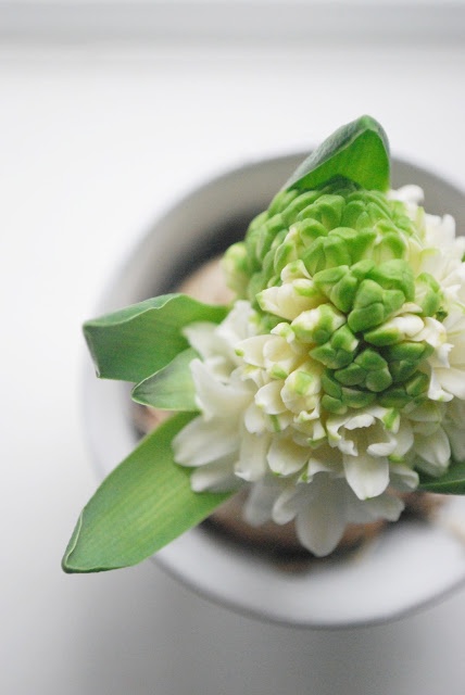 圈圈小佑的个人主页（背景预览） - 主页背景设置 - 站酷设计师圈圈小佑原创素材 - 站酷ZCOOL