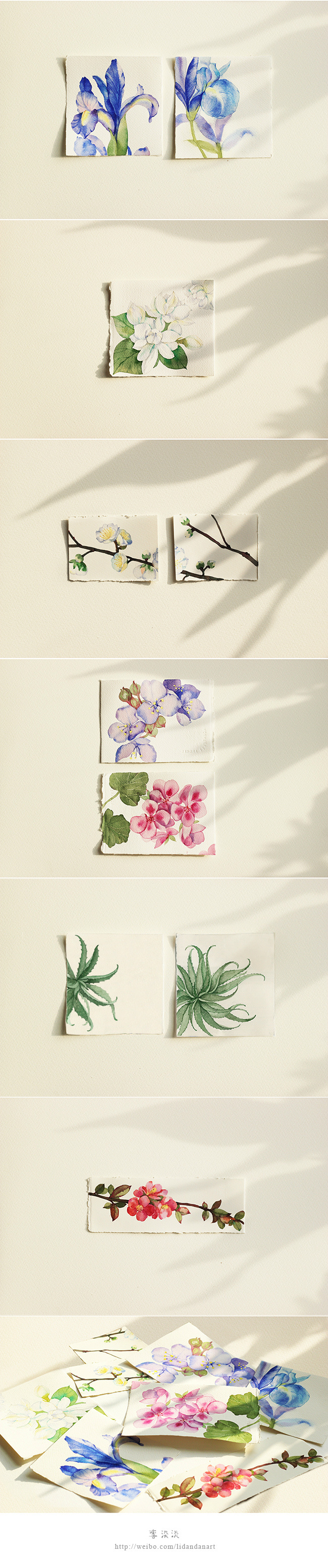 黎大熊的個人主頁（背景預覽） - 主頁背景設置 - 站酷設計師黎大熊原創(chuàng)素材 - 站酷ZCOOL