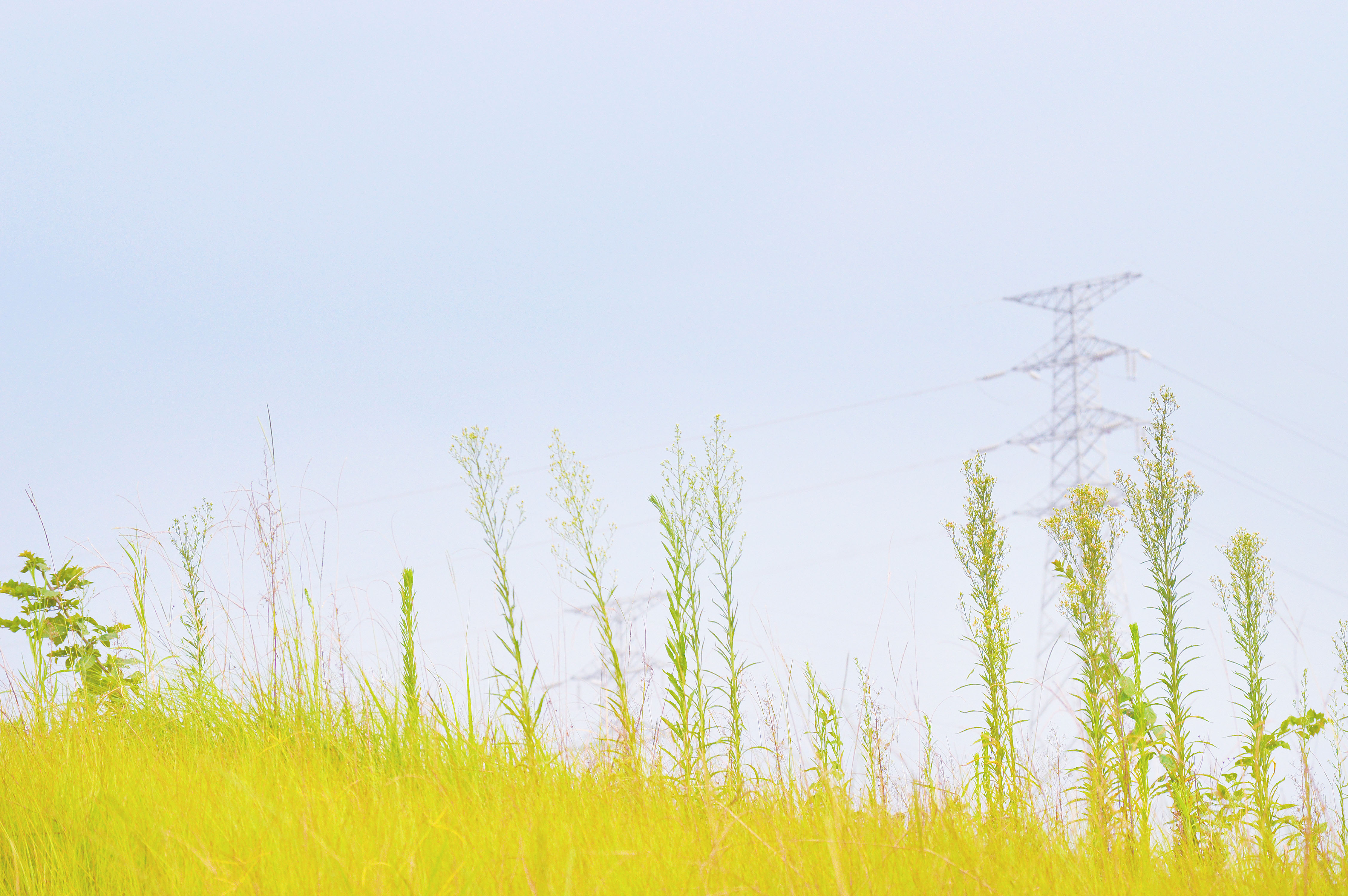 咸梨子的个人主页（背景预览） - 主页背景设置 - 站酷设计师咸梨子原创素材 - 站酷ZCOOL