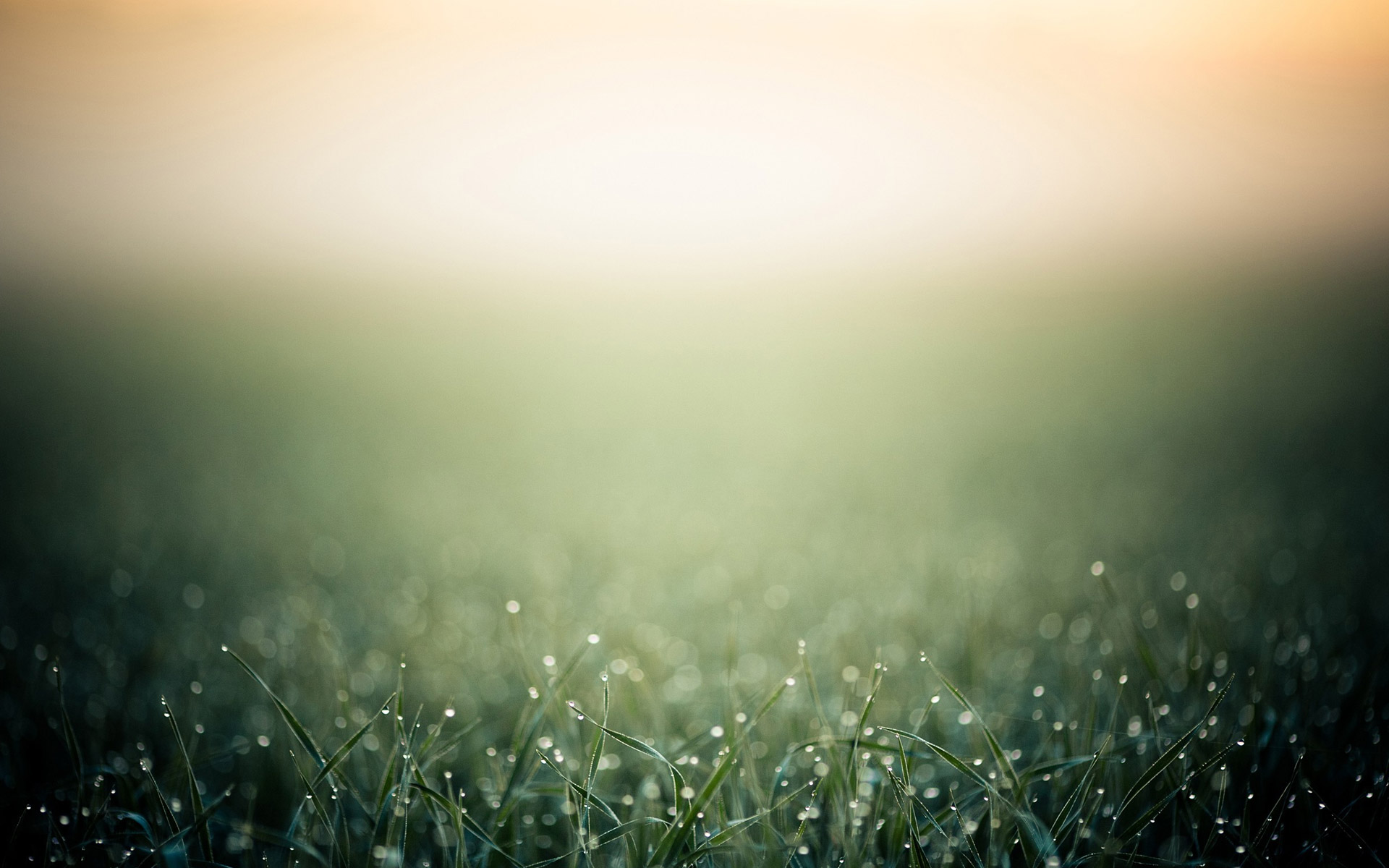 licx1234的个人主页（背景预览） - 主页背景设置 - 站酷设计师licx1234原创素材 - 站酷ZCOOL