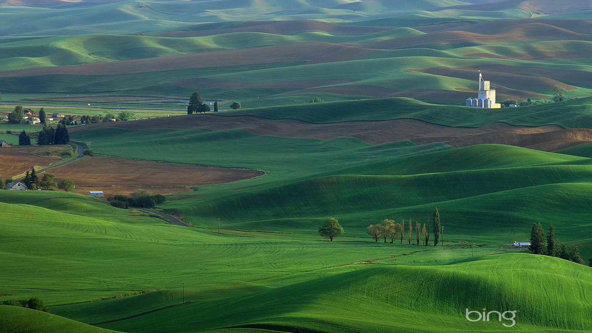 Fredxmg的个人主页（背景预览） - 主页背景设置 - 站酷设计师Fredxmg原创素材 - 站酷ZCOOL