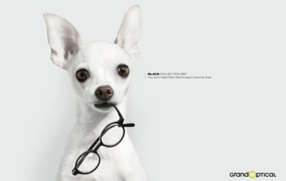 海达派的个人主页（背景预览） - 主页背景设置 - 站酷设计师海达派原创素材 - 站酷ZCOOL