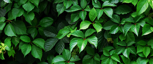 彩笔花的个人主页（背景预览） - 主页背景设置 - 站酷设计师彩笔花原创素材 - 站酷ZCOOL