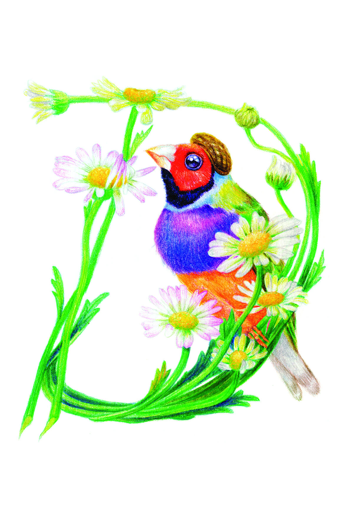 陆薇尔的个人主页（背景预览） - 主页背景设置 - 站酷设计师陆薇尔原创素材 - 站酷ZCOOL