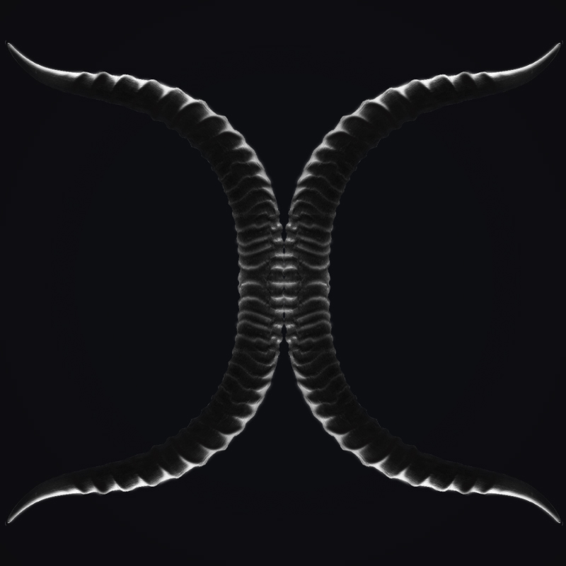 飛翔的艸的個(gè)人主頁(yè)（背景預(yù)覽） - 主頁(yè)背景設(shè)置 - 站酷設(shè)計(jì)師飛翔的艸原創(chuàng)素材 - 站酷ZCOOL