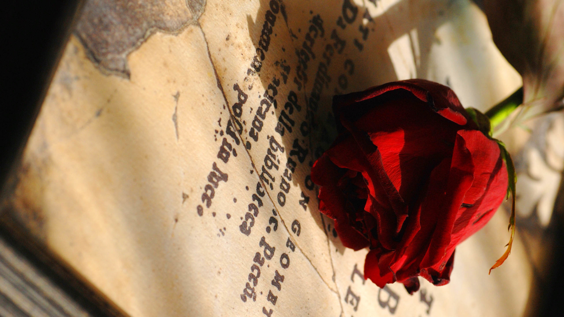 信箱里的小黑的个人主页（背景预览） - 主页背景设置 - 站酷设计师信箱里的小黑原创素材 - 站酷ZCOOL