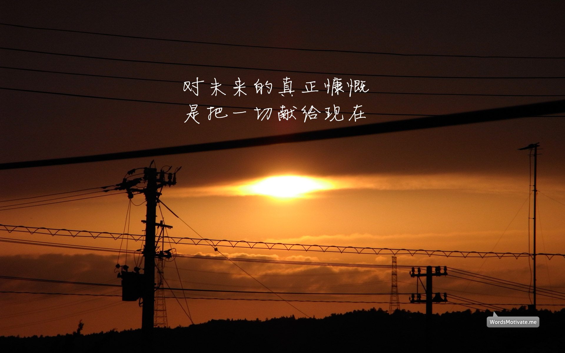 豆子豆子豆的个人主页（背景预览） - 主页背景设置 - 站酷设计师豆子豆子豆原创素材 - 站酷ZCOOL