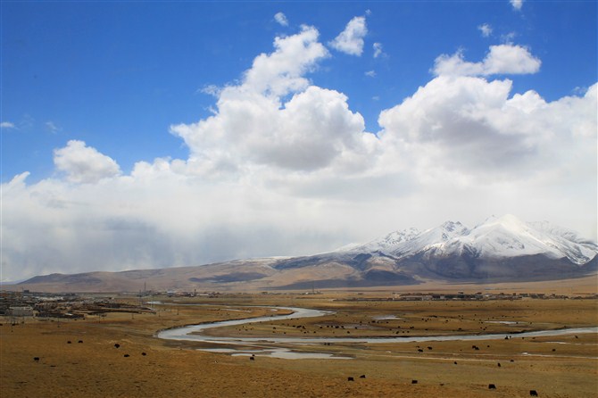 娃娃頭雪糕的個(gè)人主頁(yè)（背景預(yù)覽） - 主頁(yè)背景設(shè)置 - 站酷設(shè)計(jì)師娃娃頭雪糕原創(chuàng)素材 - 站酷ZCOOL