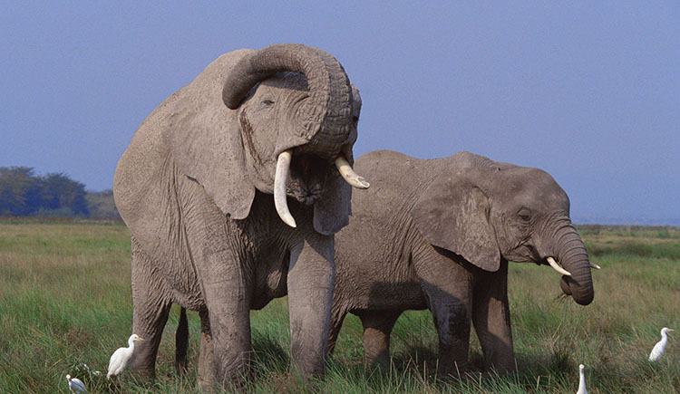 geofferysun的个人主页（背景预览） - 主页背景设置 - 站酷设计师geofferysun原创素材 - 站酷ZCOOL