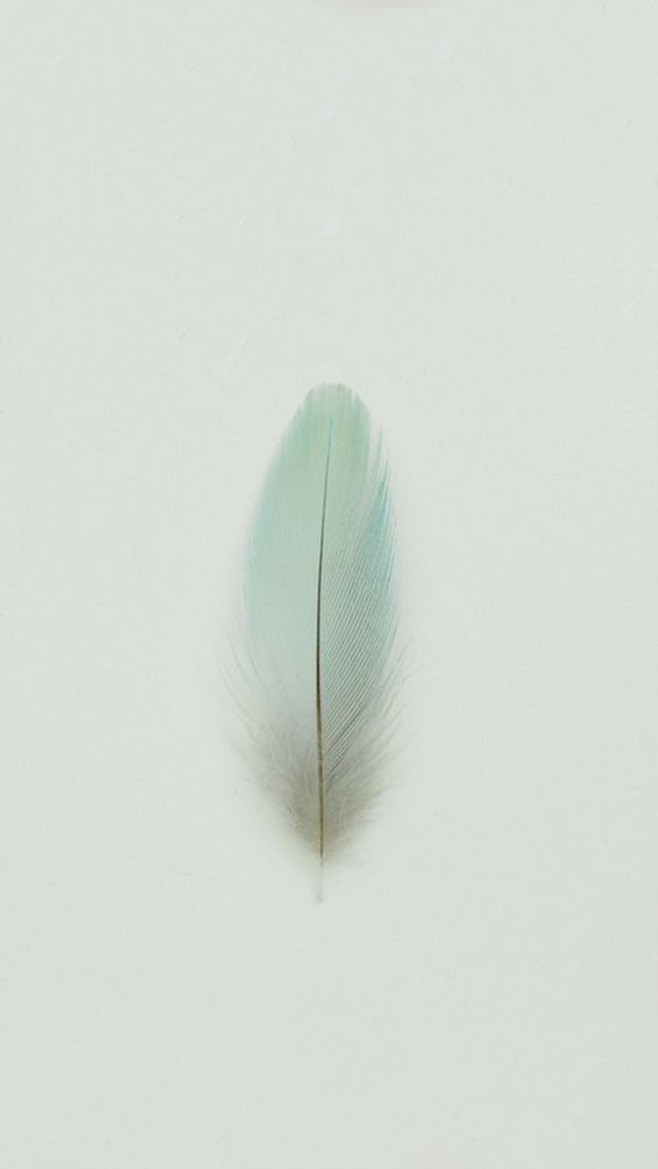 阿遙和兩只貓的個(gè)人主頁(yè)（背景預(yù)覽） - 主頁(yè)背景設(shè)置 - 站酷設(shè)計(jì)師阿遙和兩只貓?jiān)瓌?chuàng)素材 - 站酷ZCOOL