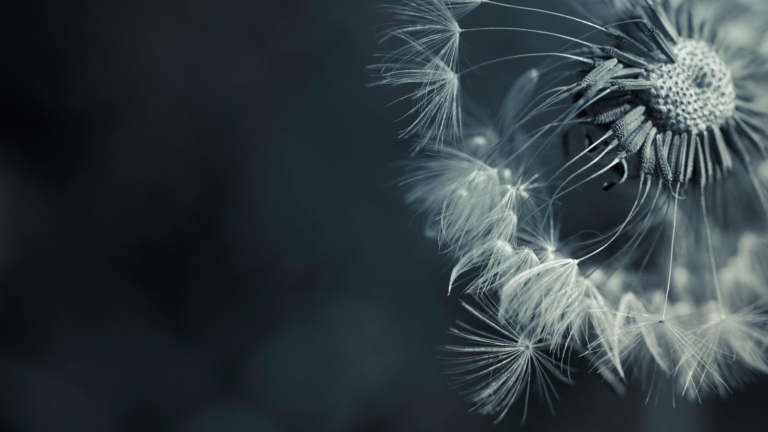 哎哟妈耶的个人主页（背景预览） - 主页背景设置 - 站酷设计师哎哟妈耶原创素材 - 站酷ZCOOL