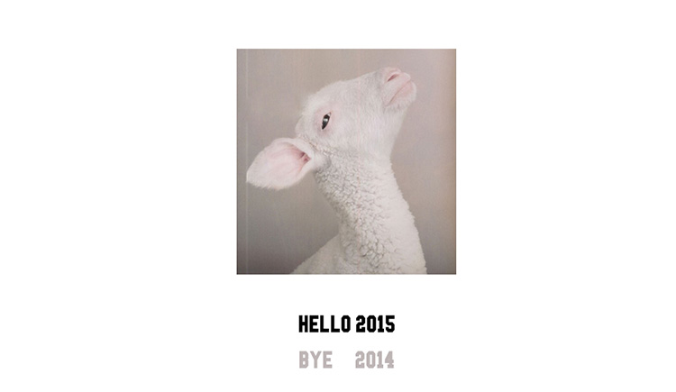 cynie的個人主頁（背景預覽） - 主頁背景設置 - 站酷設計師cynie原創(chuàng)素材 - 站酷ZCOOL