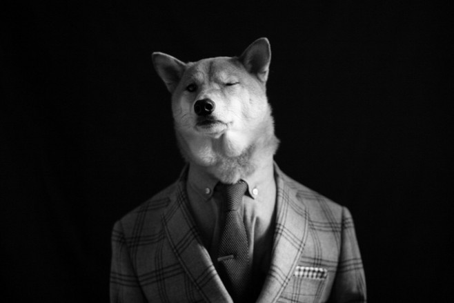 好奇baobao的個人主頁（背景預覽） - 主頁背景設置 - 站酷設計師好奇baobao原創(chuàng)素材 - 站酷ZCOOL