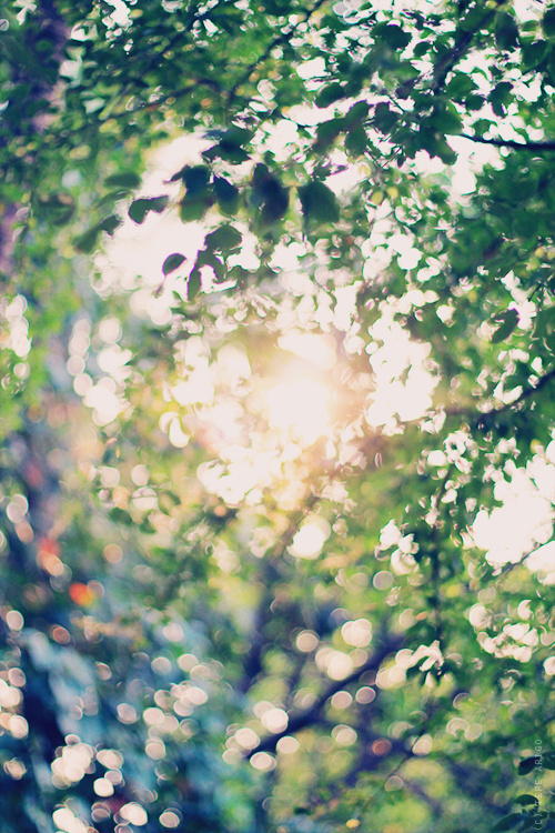 xinzi0422的個人主頁（背景預覽） - 主頁背景設置 - 站酷設計師xinzi0422原創(chuàng)素材 - 站酷ZCOOL