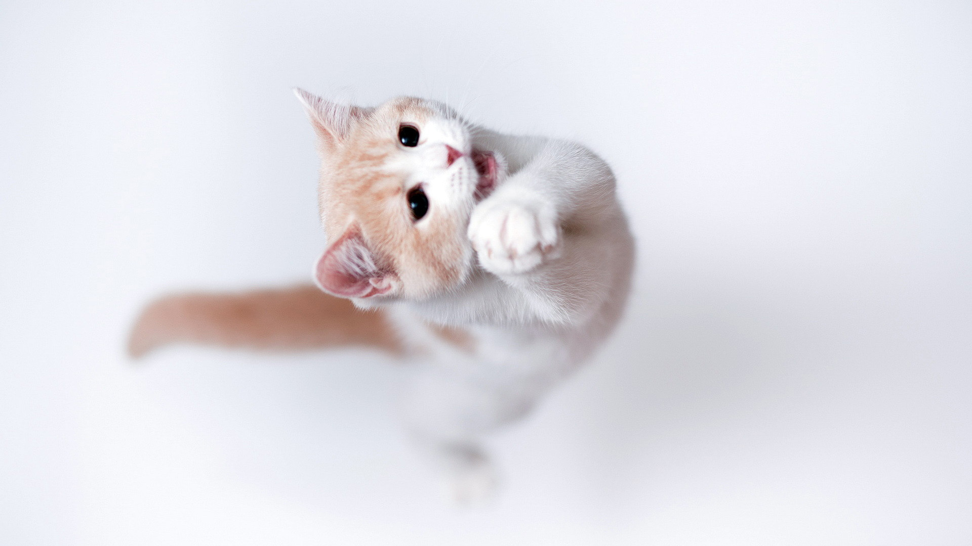 ZGJINg的個(gè)人主頁（背景預(yù)覽） - 主頁背景設(shè)置 - 站酷設(shè)計(jì)師ZGJINg原創(chuàng)素材 - 站酷ZCOOL