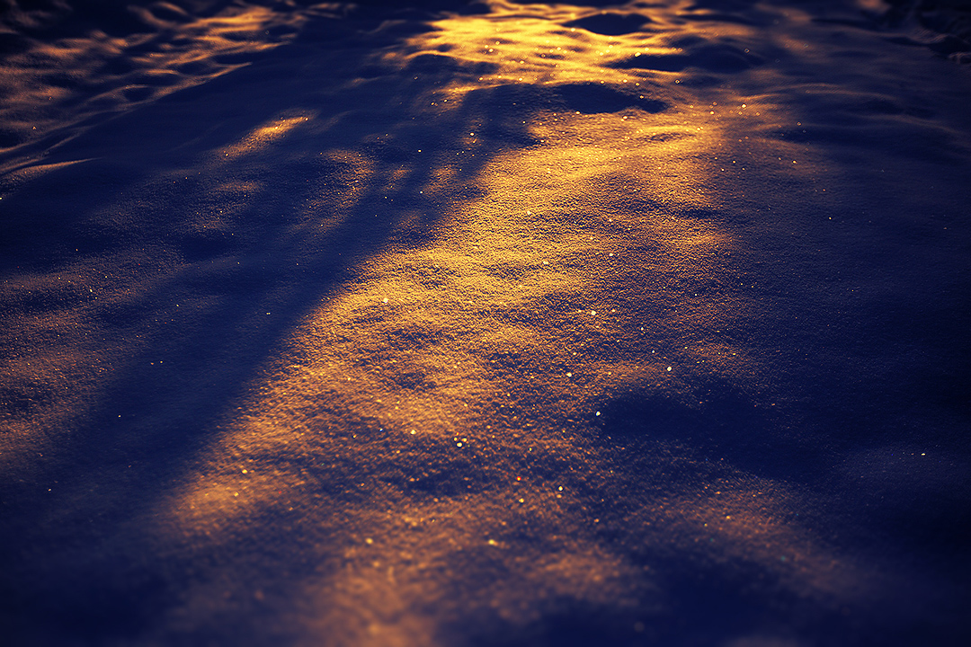 Cassiewen2010的个人主页（背景预览） - 主页背景设置 - 站酷设计师Cassiewen2010原创素材 - 站酷ZCOOL