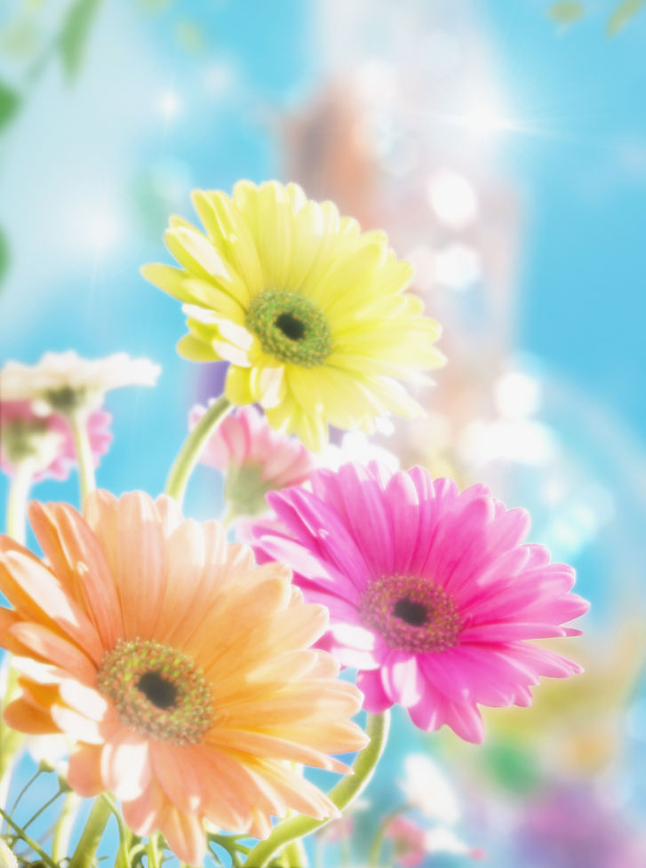 mengsijia的個(gè)人主頁（背景預(yù)覽） - 主頁背景設(shè)置 - 站酷設(shè)計(jì)師mengsijia原創(chuàng)素材 - 站酷ZCOOL