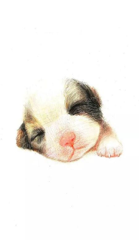 啊诺与安安的个人主页（背景预览） - 主页背景设置 - 站酷设计师啊诺与安安原创素材 - 站酷ZCOOL