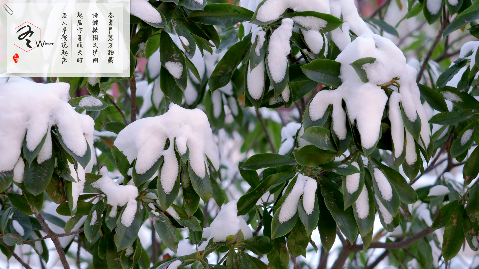 你的名字呢的个人主页（背景预览） - 主页背景设置 - 站酷设计师你的名字呢原创素材 - 站酷ZCOOL