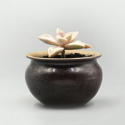 王小不1998的个人主页（背景预览） - 主页背景设置 - 站酷设计师王小不1998原创素材 - 站酷ZCOOL