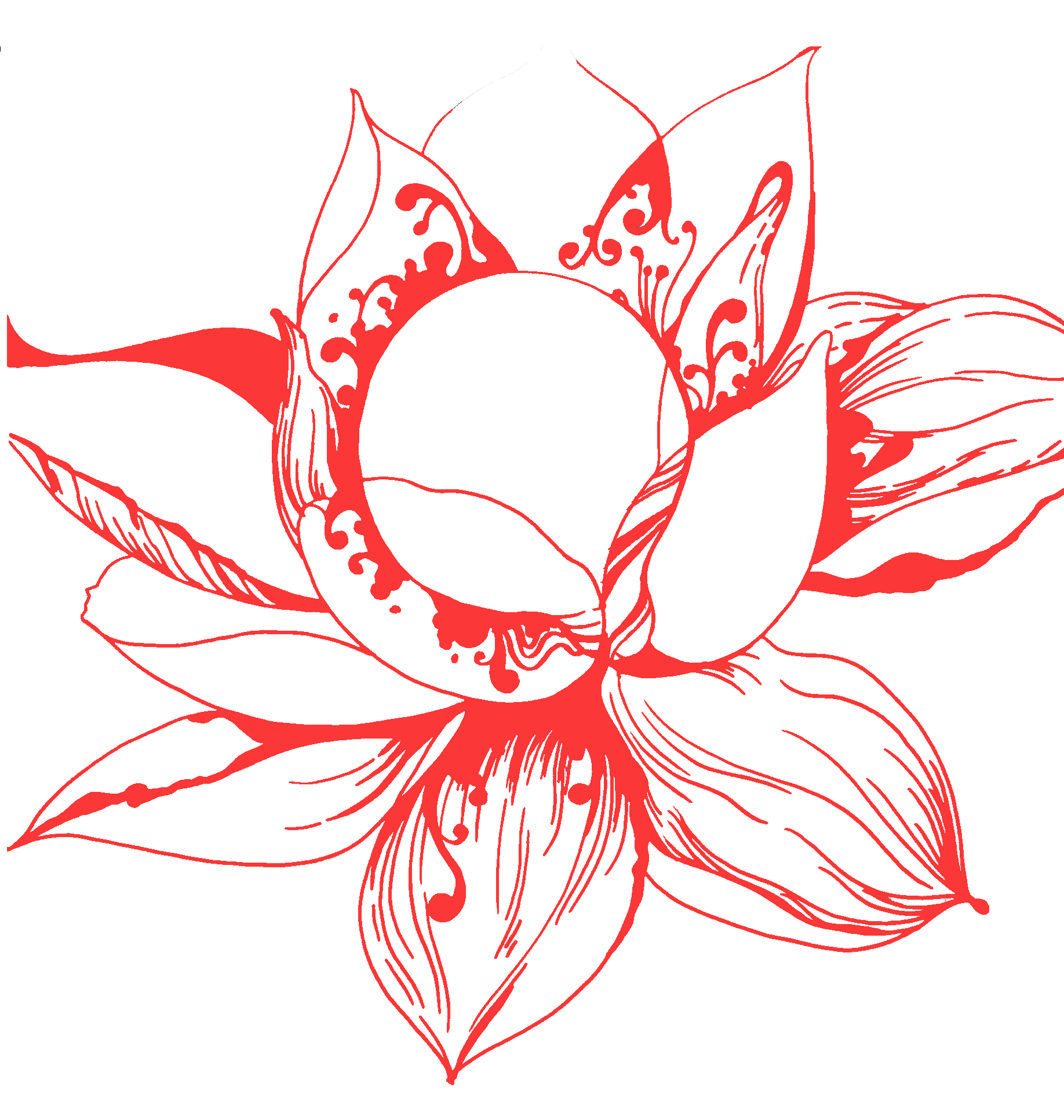 除卻巫山非我的個(gè)人主頁（背景預(yù)覽） - 主頁背景設(shè)置 - 站酷設(shè)計(jì)師除卻巫山非我原創(chuàng)素材 - 站酷ZCOOL