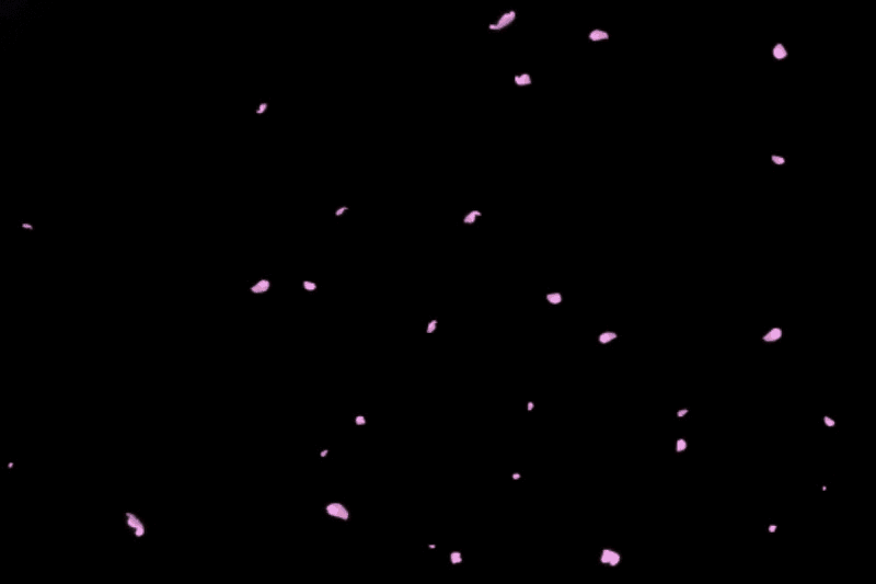 800_533gif 动态图 动图