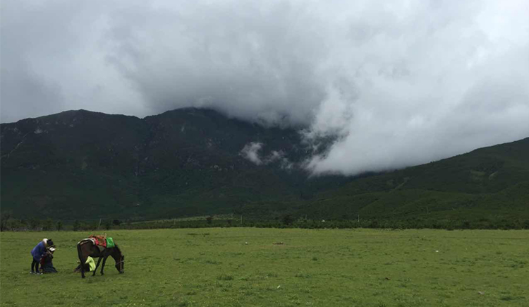 小荔枝呀的个人主页（背景预览） - 主页背景设置 - 站酷设计师小荔枝呀原创素材 - 站酷ZCOOL