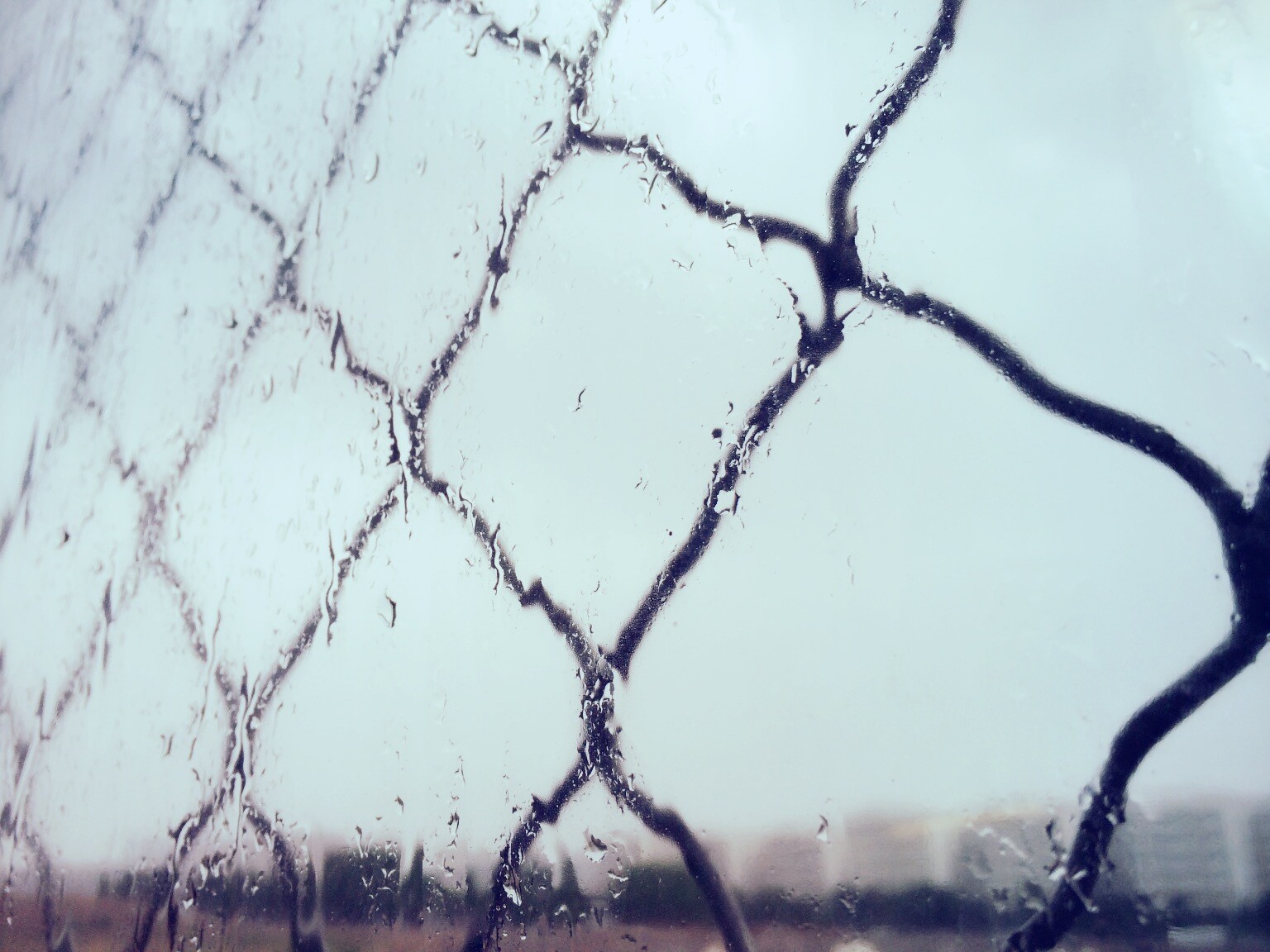 Henry起司菌的個人主頁（背景預覽） - 主頁背景設置 - 站酷設計師Henry起司菌原創(chuàng)素材 - 站酷ZCOOL