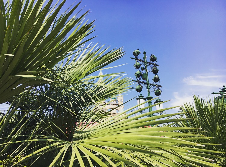 施小九的个人主页（背景预览） - 主页背景设置 - 站酷设计师施小九原创素材 - 站酷ZCOOL