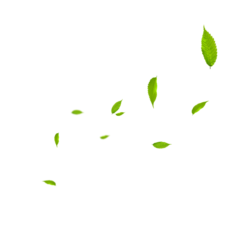 Amy_XM的个人主页（背景预览） - 主页背景设置 - 站酷设计师Amy_XM原创素材 - 站酷ZCOOL