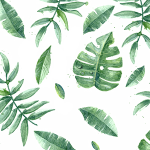 Tonton_的個(gè)人主頁（背景預(yù)覽） - 主頁背景設(shè)置 - 站酷設(shè)計(jì)師Tonton_原創(chuàng)素材 - 站酷ZCOOL