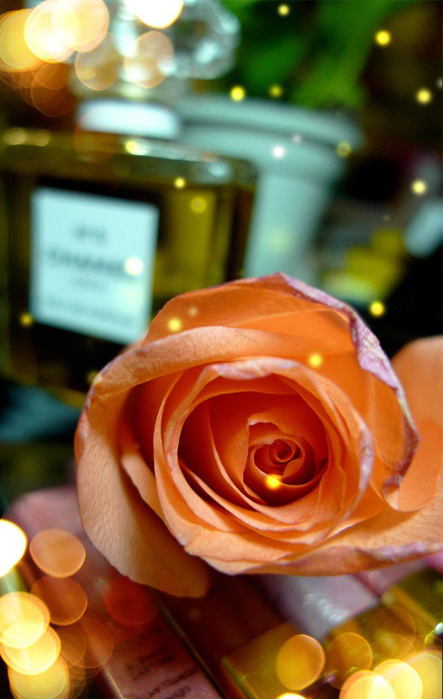 龙门视觉的个人主页（背景预览） - 主页背景设置 - 站酷设计师龙门视觉原创素材 - 站酷ZCOOL