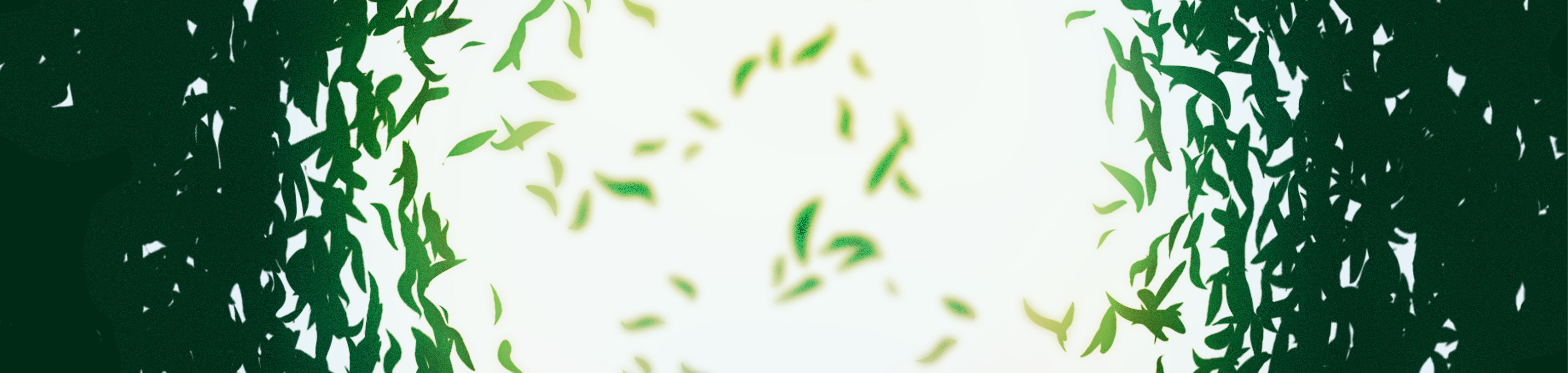 新翼的个人主页（背景预览） - 主页背景设置 - 站酷设计师新翼原创素材 - 站酷ZCOOL