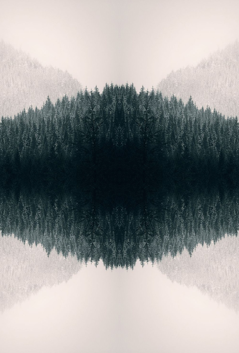 魚腸罐頭的個人主頁（背景預(yù)覽） - 主頁背景設(shè)置 - 站酷設(shè)計師魚腸罐頭原創(chuàng)素材 - 站酷ZCOOL