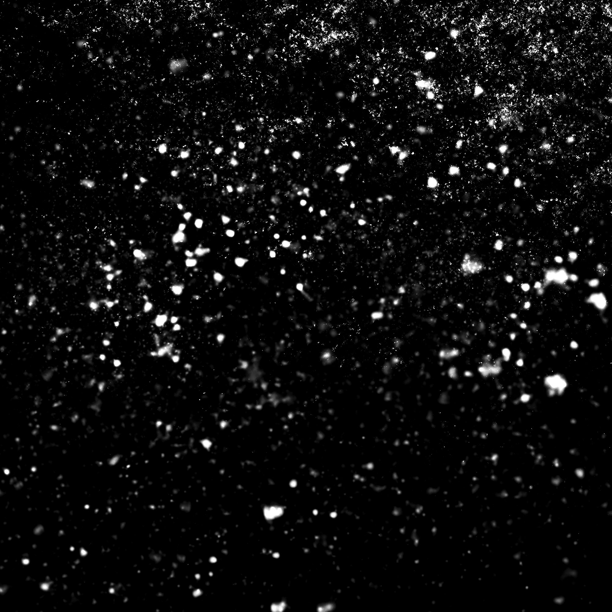 烟雨红尘F1的个人主页（背景预览） - 主页背景设置 - 站酷设计师烟雨红尘F1原创素材 - 站酷ZCOOL