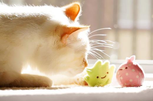 渲媣的个人主页（背景预览） - 主页背景设置 - 站酷设计师渲媣原创素材 - 站酷ZCOOL