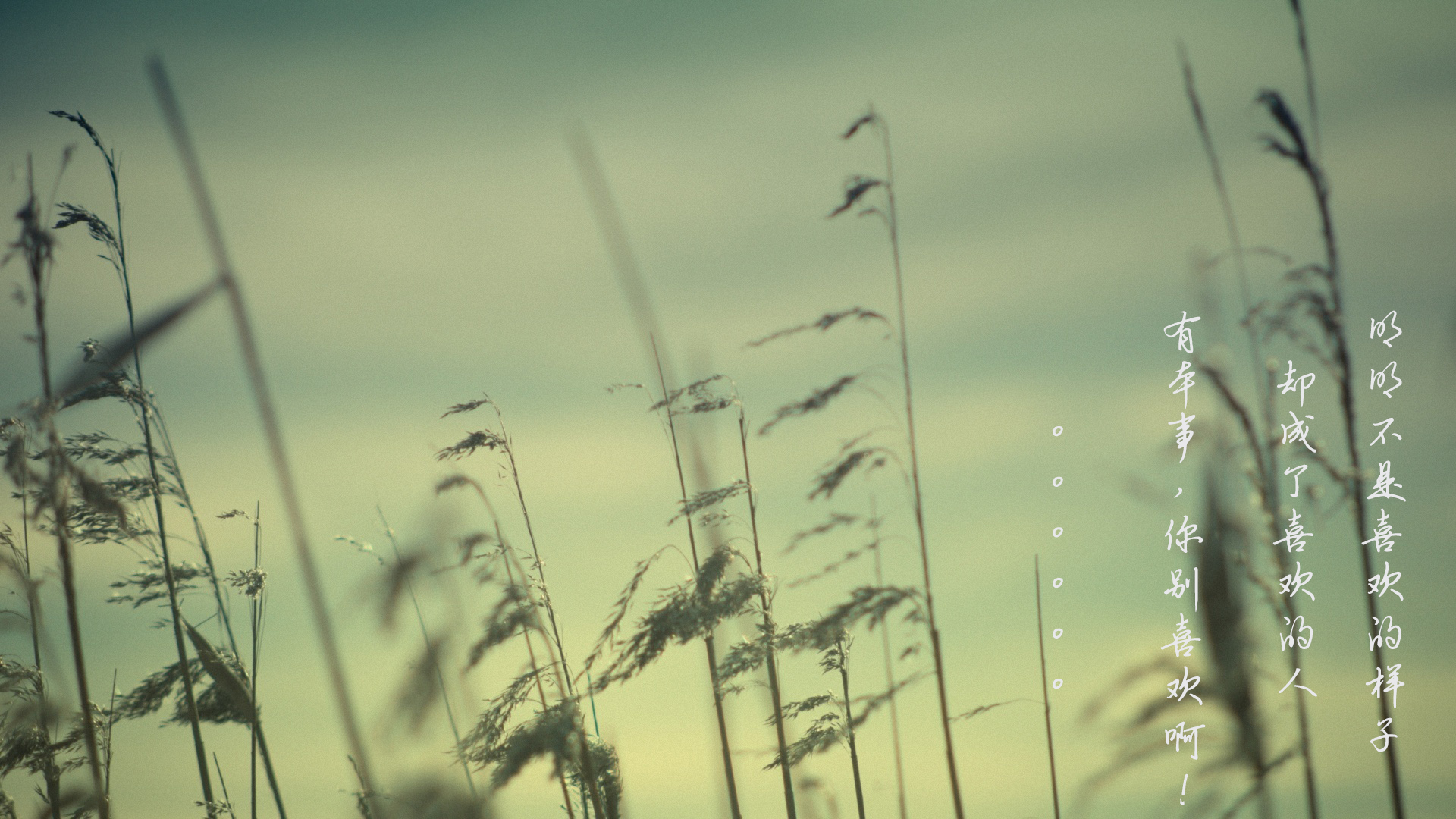 Sillyy的個(gè)人主頁(yè)（背景預(yù)覽） - 主頁(yè)背景設(shè)置 - 站酷設(shè)計(jì)師Sillyy原創(chuàng)素材 - 站酷ZCOOL