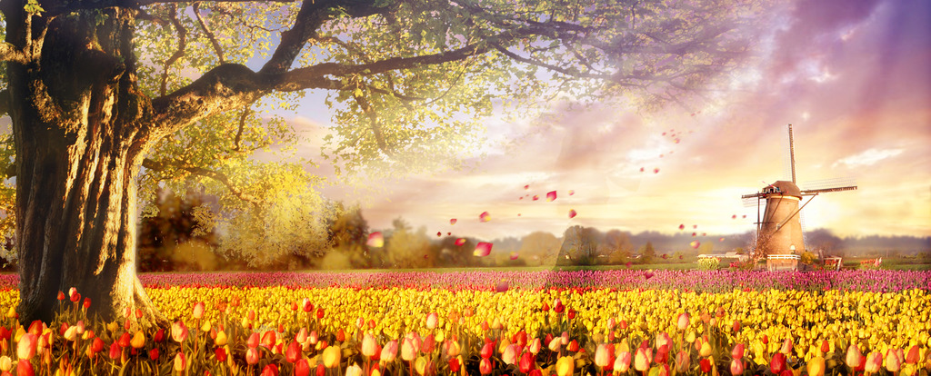 祁軒的個人主頁（背景預(yù)覽） - 主頁背景設(shè)置 - 站酷設(shè)計(jì)師祁軒原創(chuàng)素材 - 站酷ZCOOL