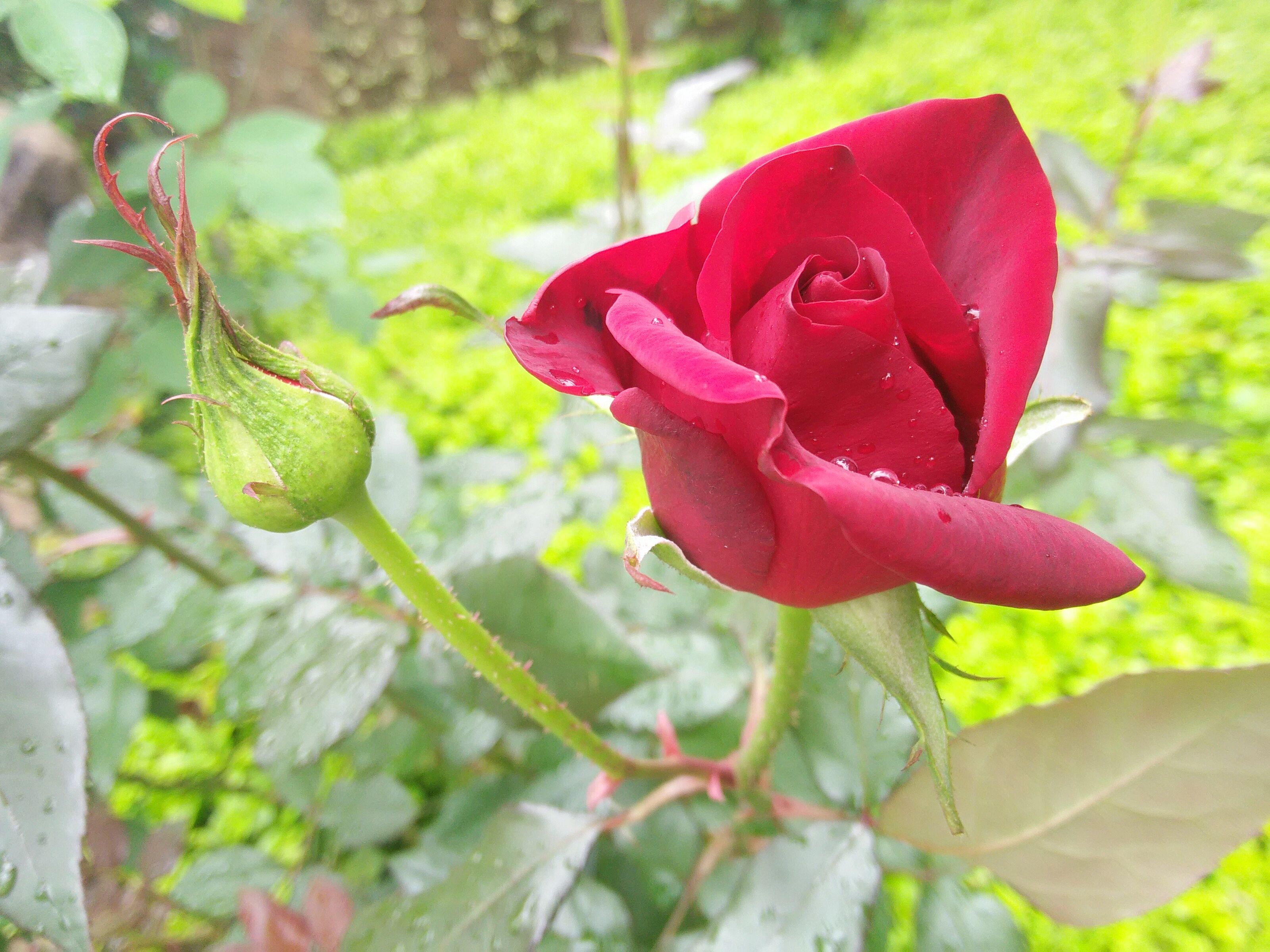 燕子语的个人主页（背景预览） - 主页背景设置 - 站酷设计师燕子语原创素材 - 站酷ZCOOL