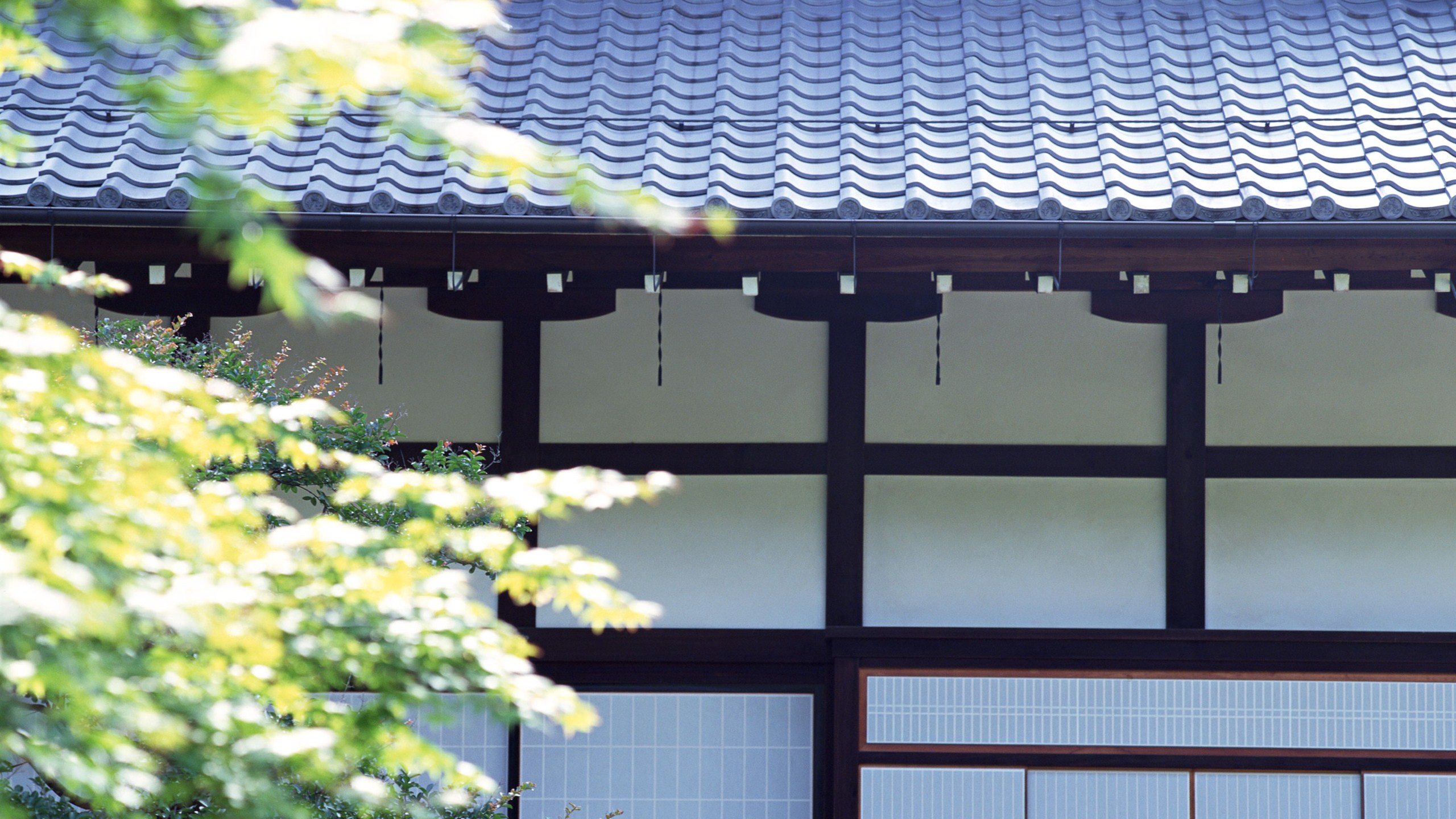 PM騎士的個人主頁（背景預覽） - 主頁背景設置 - 站酷設計師PM騎士原創(chuàng)素材 - 站酷ZCOOL