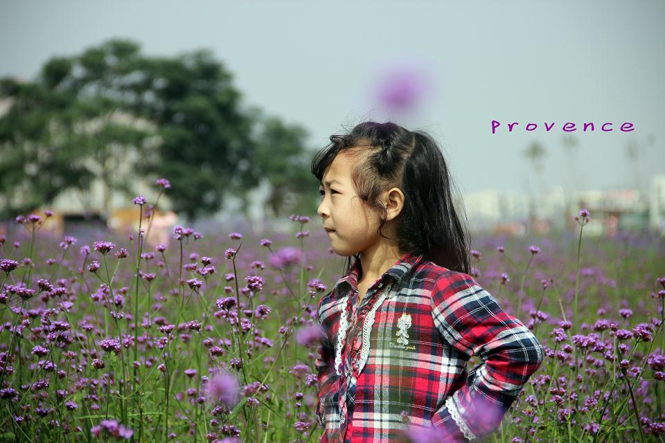 wanghuirongamor的个人主页（背景预览） - 主页背景设置 - 站酷设计师wanghuirongamor原创素材 - 站酷ZCOOL