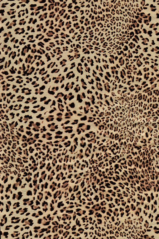 TU兔八哥的个人主页（背景预览） - 主页背景设置 - 站酷设计师TU兔八哥原创素材 - 站酷ZCOOL