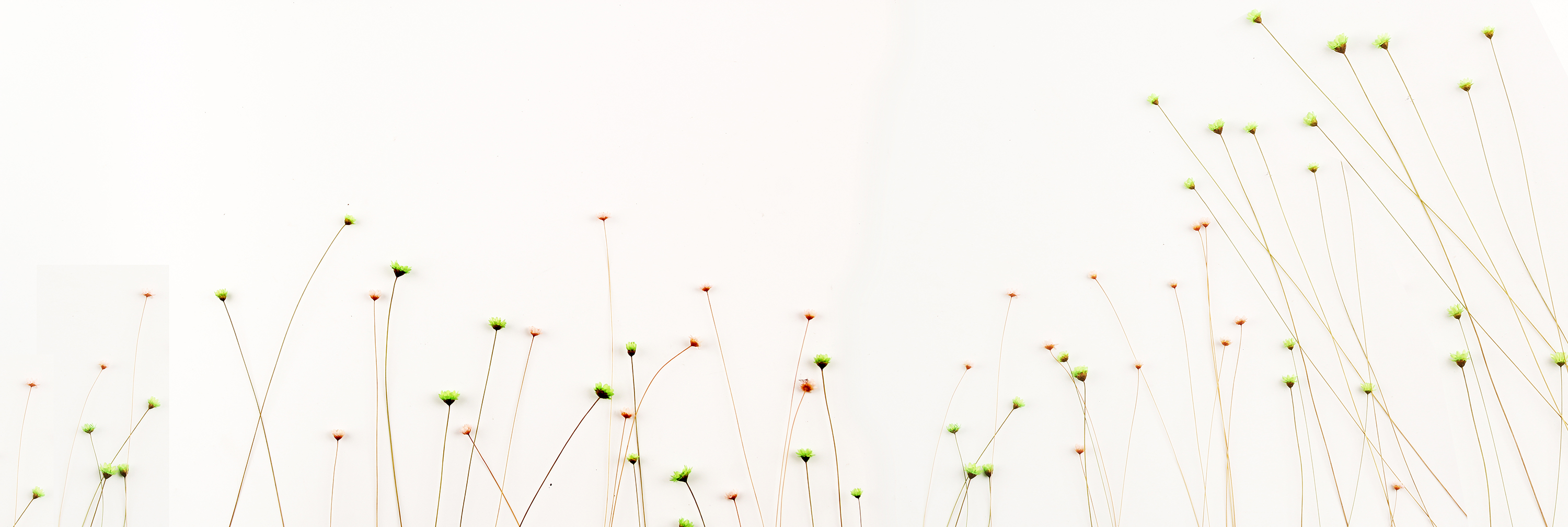 行走的方向Na的个人主页（背景预览） - 主页背景设置 - 站酷设计师行走的方向Na原创素材 - 站酷ZCOOL