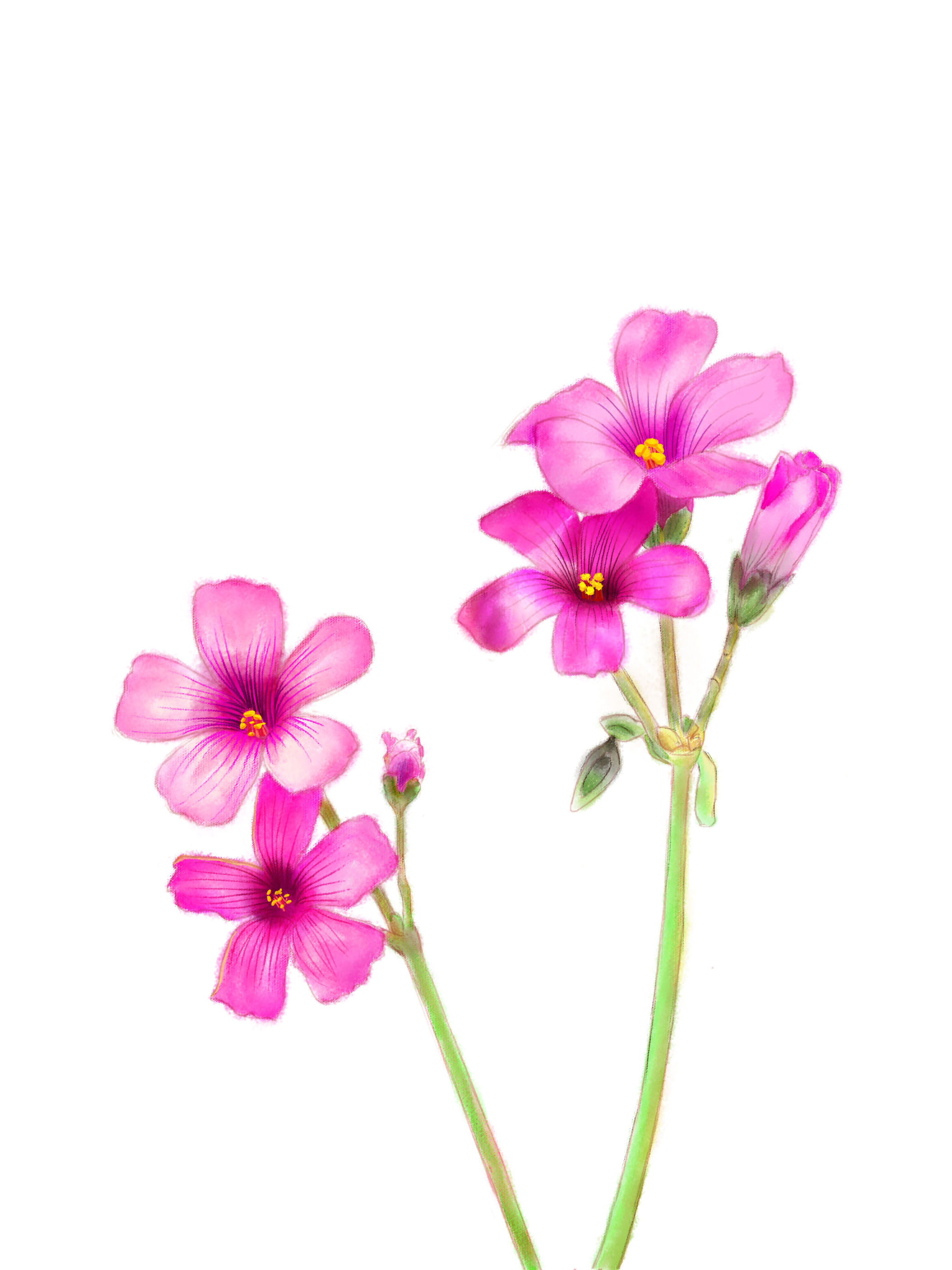 画师一九的个人主页（背景预览） - 主页背景设置 - 站酷设计师画师一九原创素材 - 站酷ZCOOL