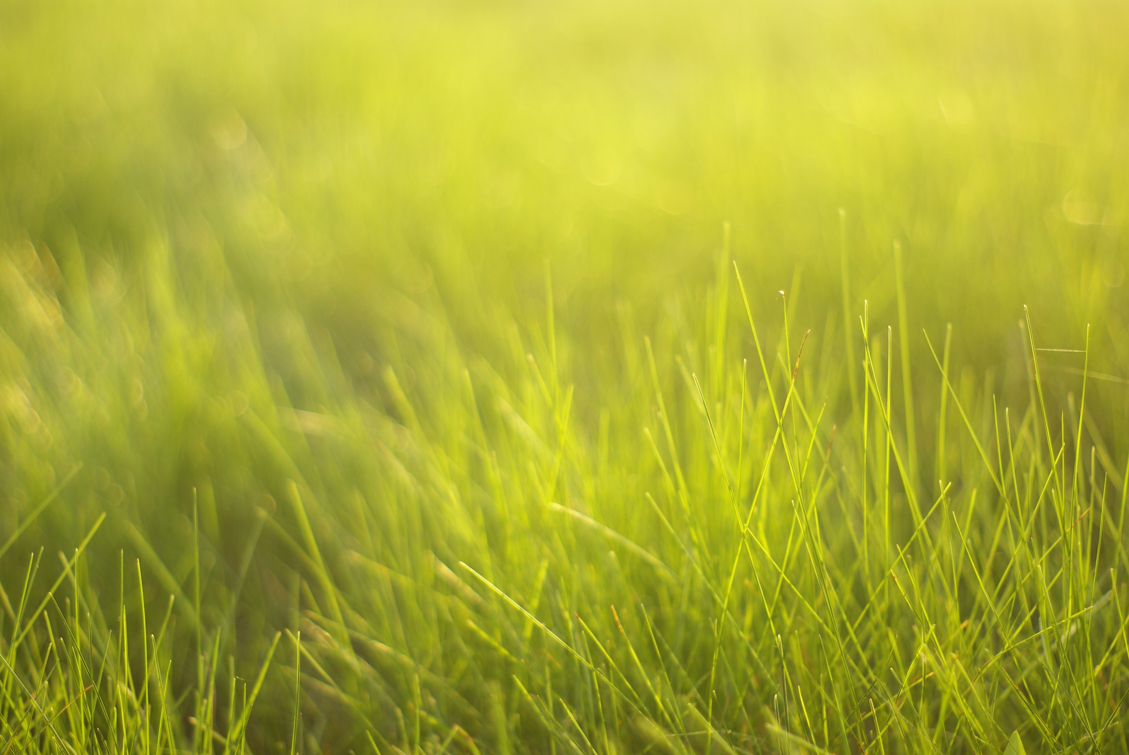 今个不打折的个人主页（背景预览） - 主页背景设置 - 站酷设计师今个不打折原创素材 - 站酷ZCOOL