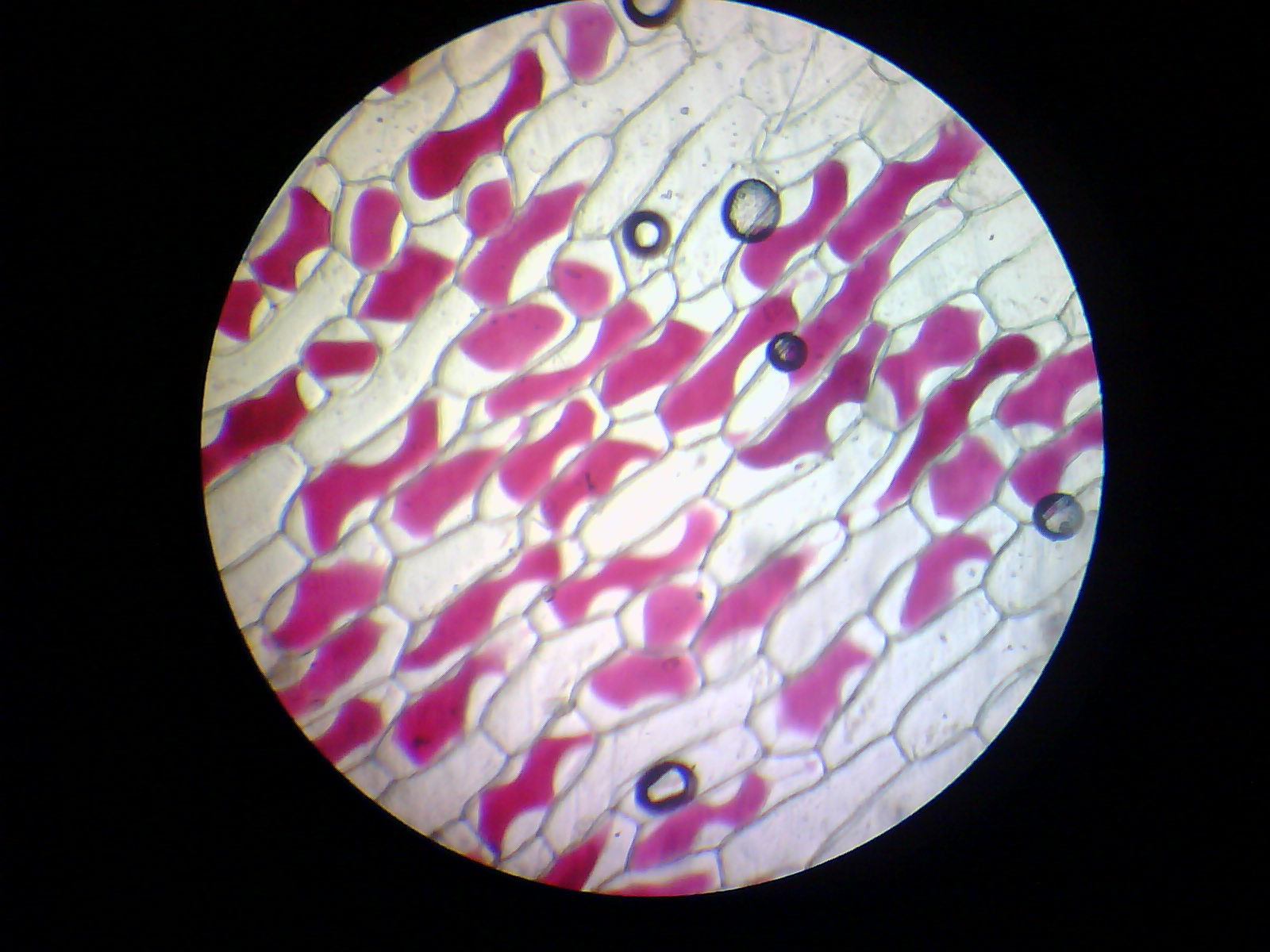 XinxiN鑫的个人主页（背景预览） - 主页背景设置 - 站酷设计师XinxiN鑫原创素材 - 站酷ZCOOL