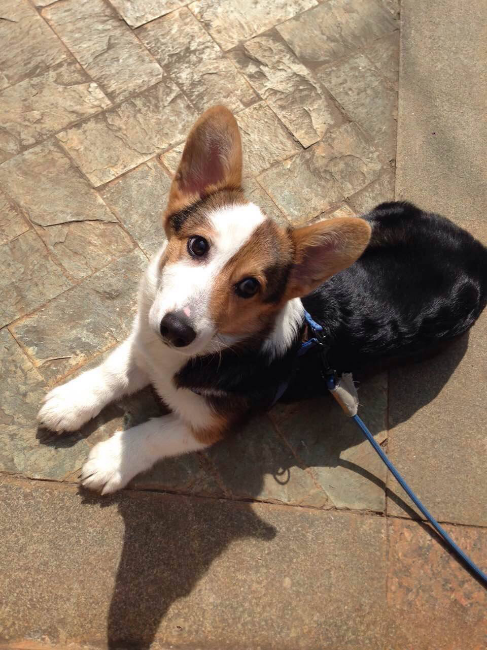 果冻和小希望的个人主页（背景预览） - 主页背景设置 - 站酷设计师果冻和小希望原创素材 - 站酷ZCOOL