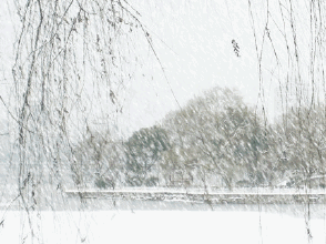 夏沫憶夢的個人主頁（背景預覽） - 主頁背景設(shè)置 - 站酷設(shè)計師夏沫憶夢原創(chuàng)素材 - 站酷ZCOOL