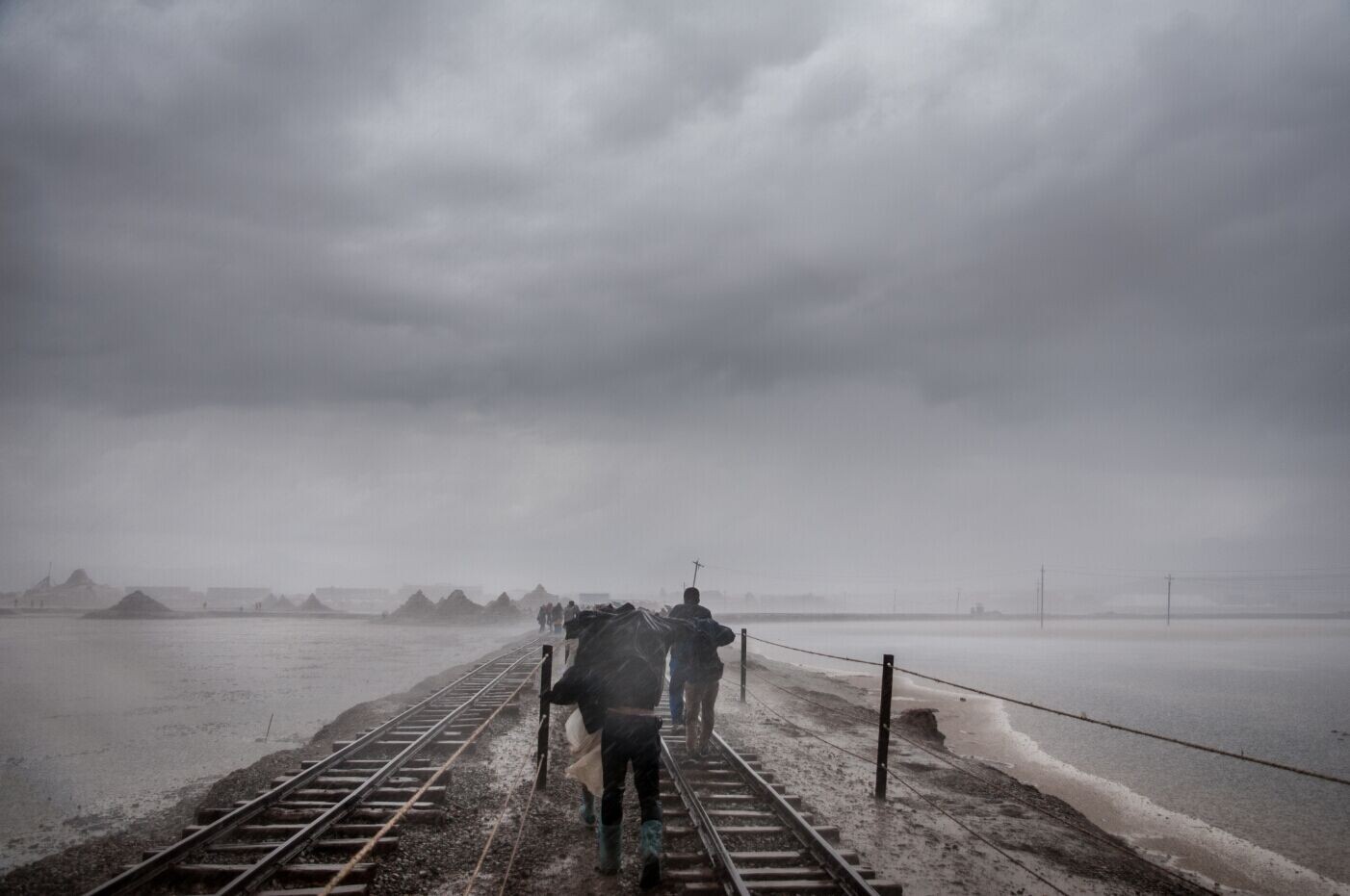 美工哈士奇的个人主页（背景预览） - 主页背景设置 - 站酷设计师美工哈士奇原创素材 - 站酷ZCOOL