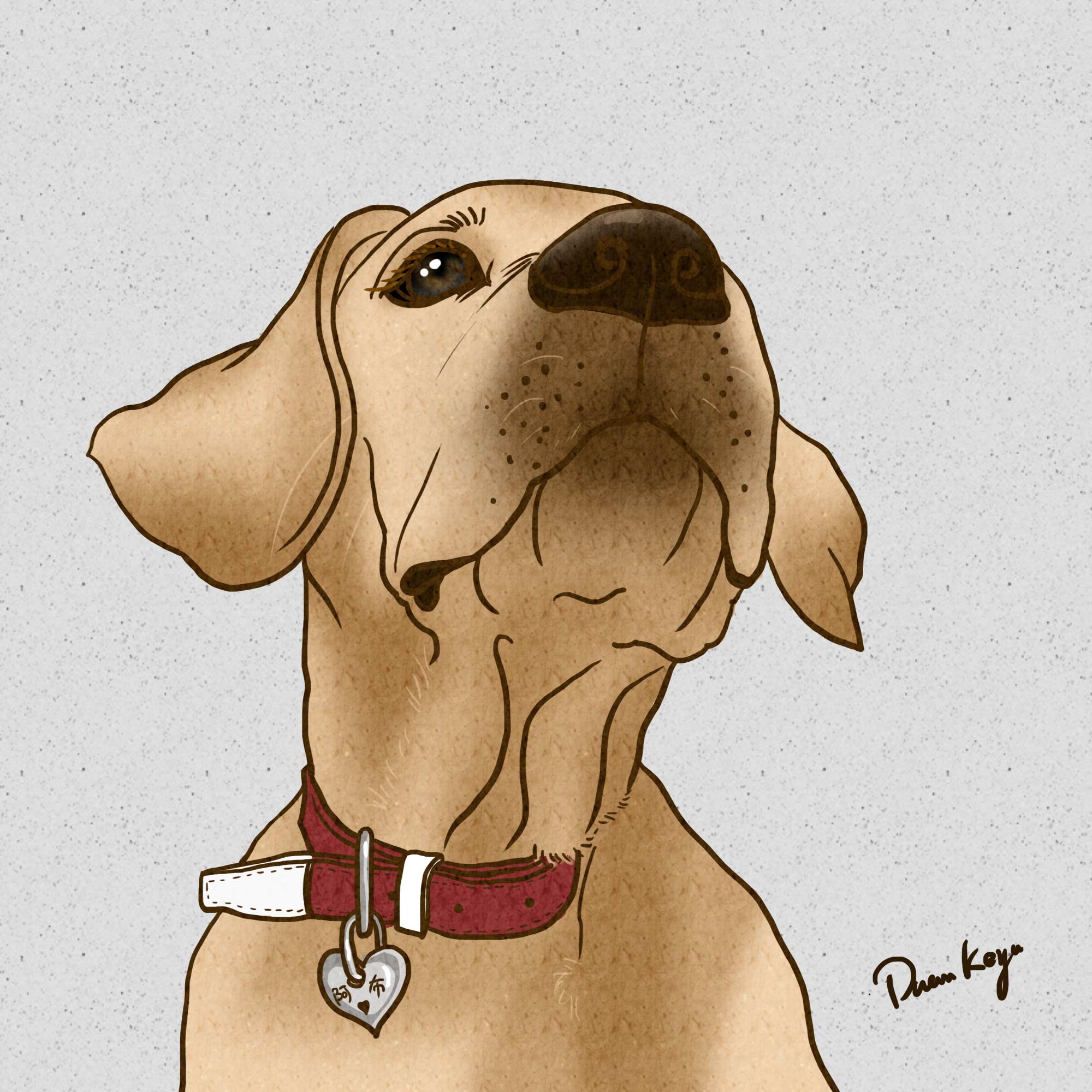 DuanKya段子的个人主页（背景预览） - 主页背景设置 - 站酷设计师DuanKya段子原创素材 - 站酷ZCOOL